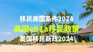 2024年最新美国移民政策解析：申请人必读插图