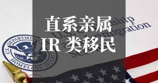 美国移民亲属关系详解：从配偶、子女到父母的申请策略插图