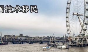 英国技术移民详解：热门职业列表与申请技巧缩略图