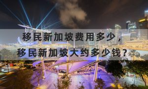 新加坡移民费用与预算规划：移民新加坡需要准备多少资金？缩略图