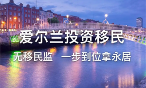 爱尔兰投资移民计划：如何通过投资获得爱尔兰居留权缩略图